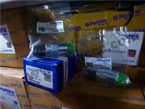 1206E柴油機(jī)T410145柴油燃油泵、溫度感應(yīng)傳感器、燃料過濾器(1206E)